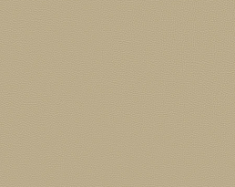 Изображение товара Ломбардия beige эко кожа 160х200 на сайте bintaga.ru